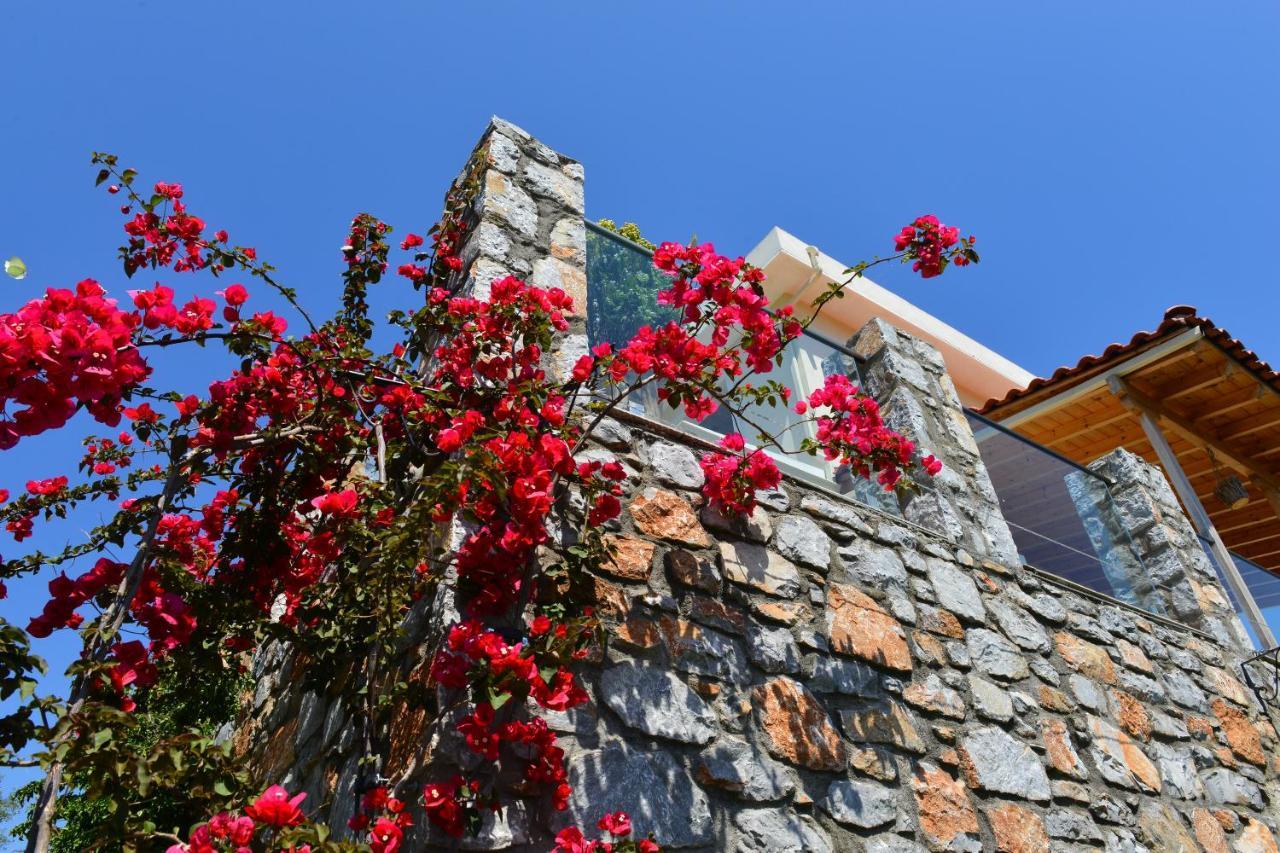 Melina Skiathos Kolios Exterior foto