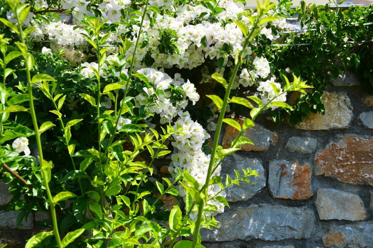 Melina Skiathos Kolios Exterior foto